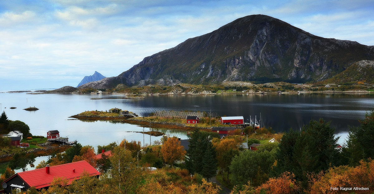 Vakre høstfarger i skjærgården